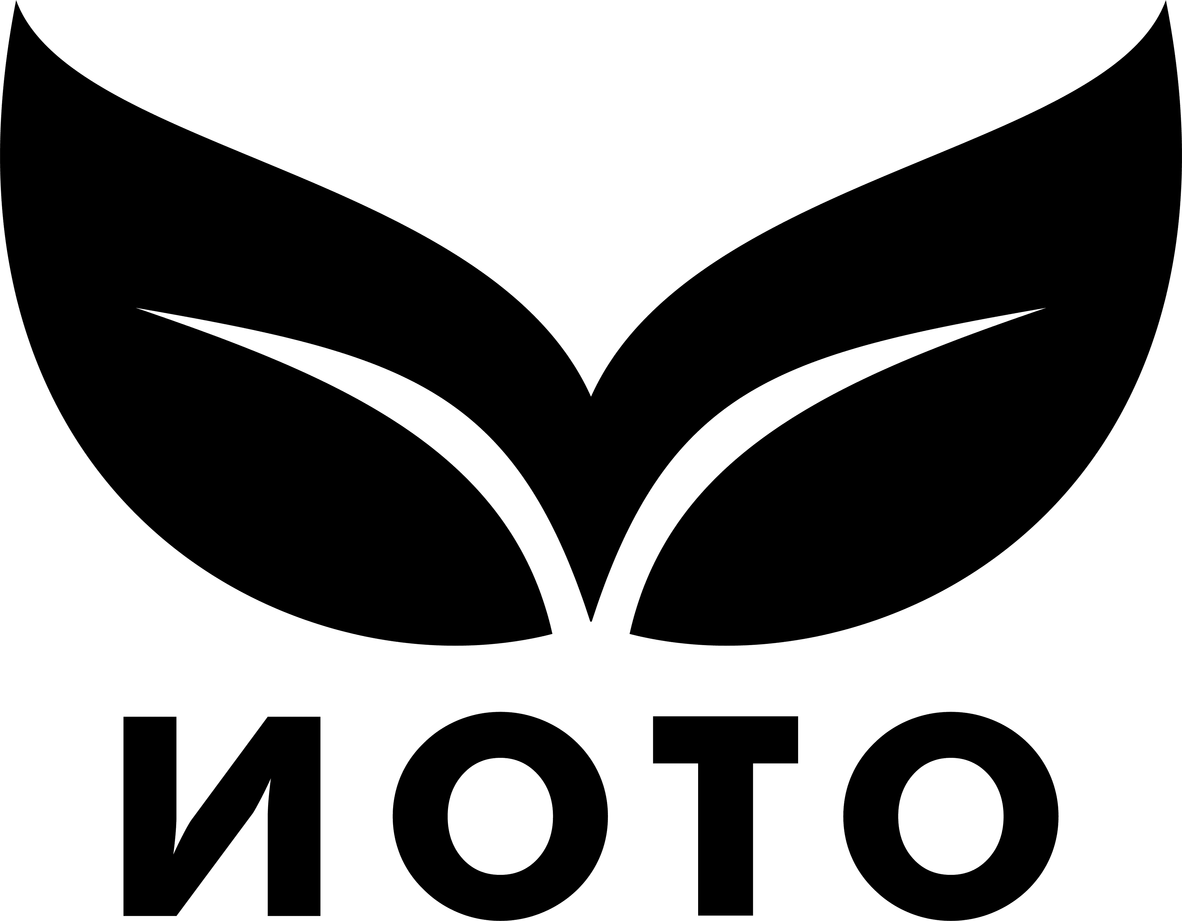 Noto Sports logo — tobacco leaf above the inverted N